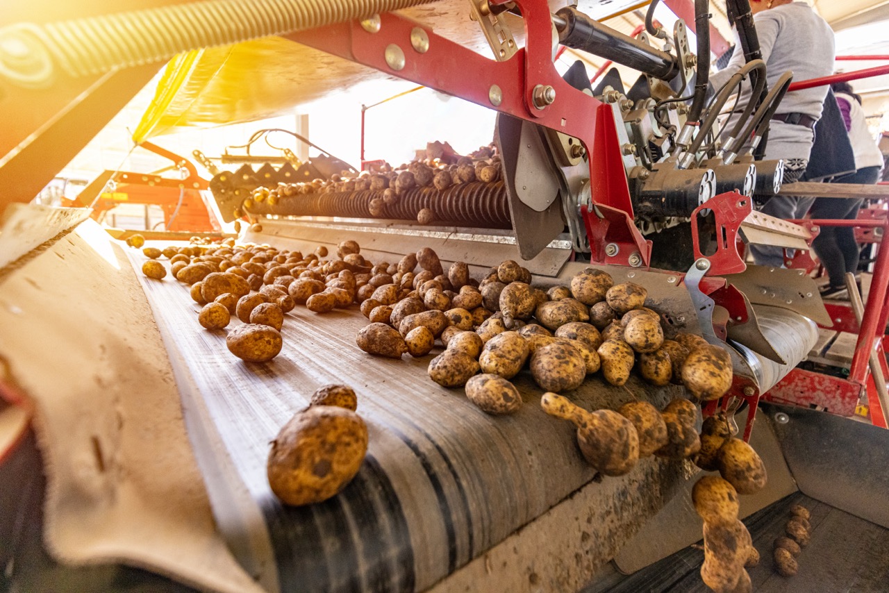 AGRICULTURE & BULK MATERIALS